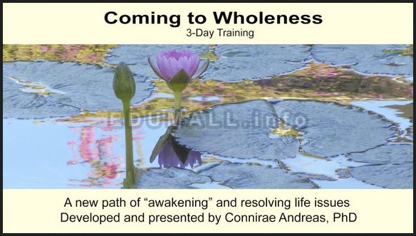 Connirae Andreas - 3-day Wholeness Training