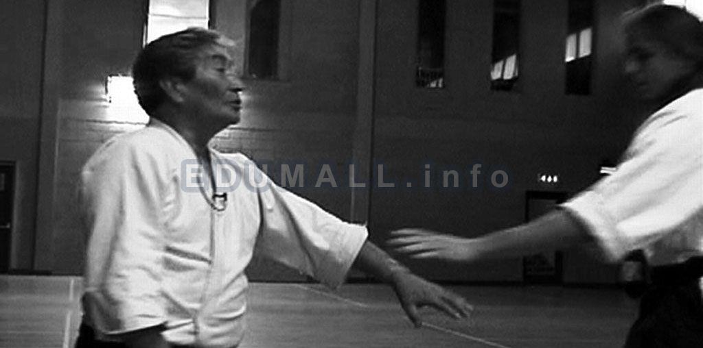 Henry Kono - Aikido Yin and Yang in Motion