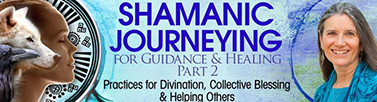 Sandra Ingerman - Shamanic Journeying for Guidance and Healing part 2