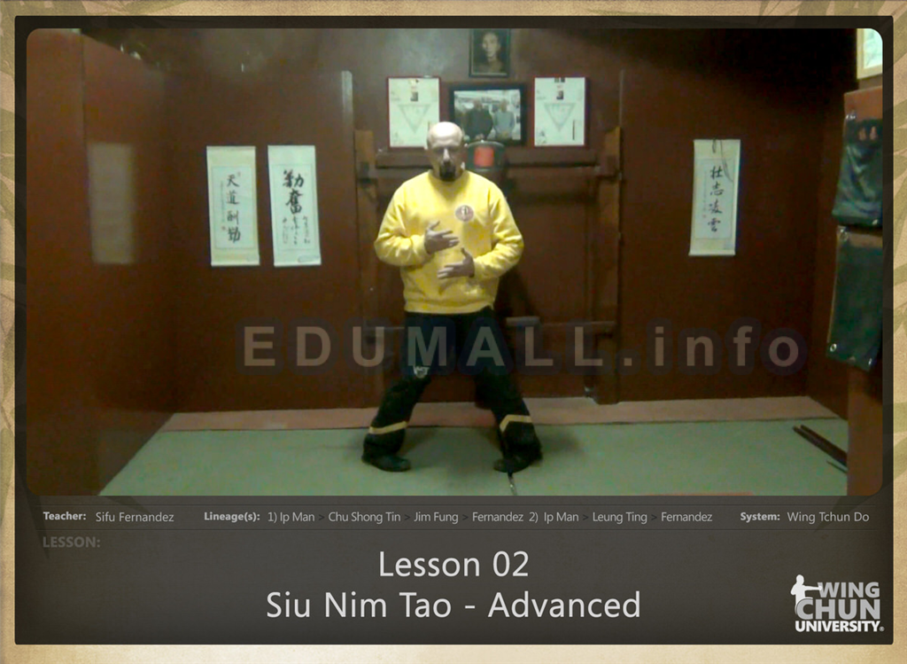 Sifu Fernandez - WingTchunDo - Lesson 02 - Siu Nim Tao - Advanced