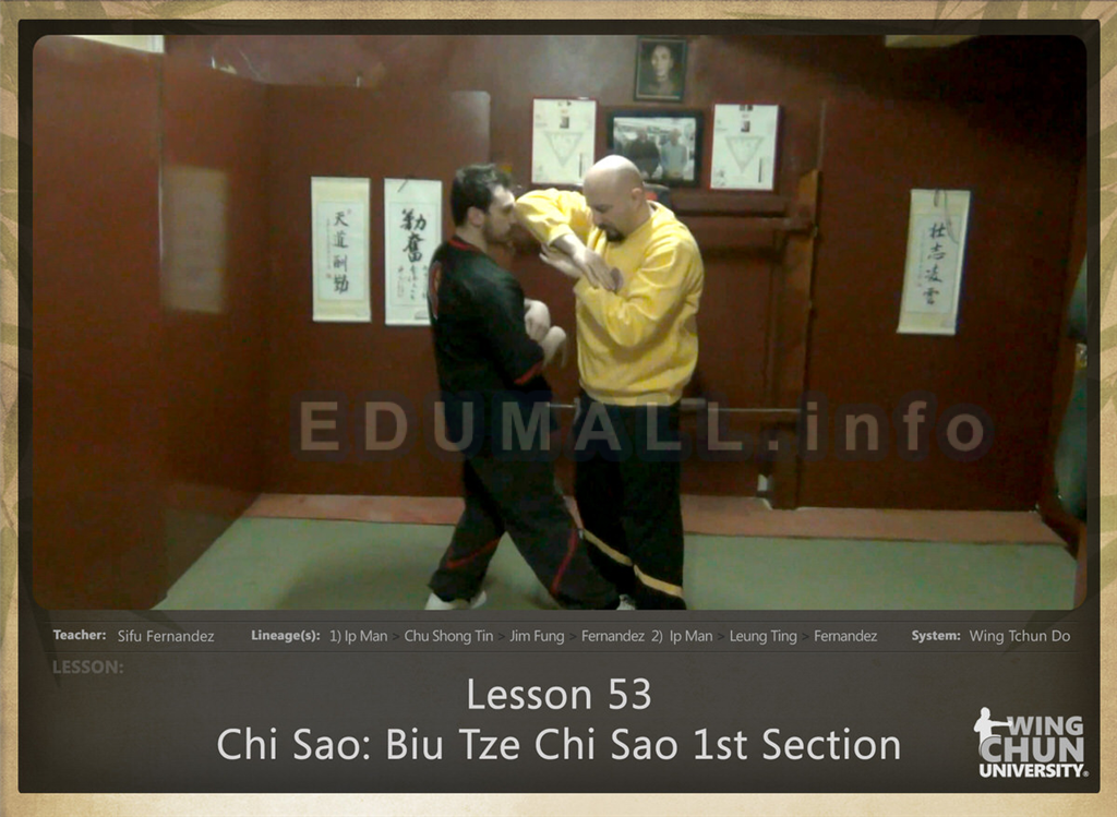 Sifu Fernandez - WingTchunDo - Lesson 53 - Chi Sao - Biu Tze Chi Sao 1st Section