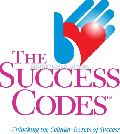 Alex Loyd - The Success Codes - Disc 04 Fixed