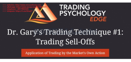 Dr. Gary - Trading Technique 1: Trading Sell-Offs