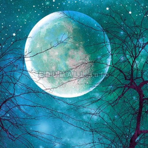 Jack Gillen - Rhythm of the Moon
