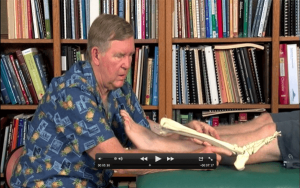 John Iams - PRRT Mini Course - Liquidating Low Back & Leg Pain (Online Version)