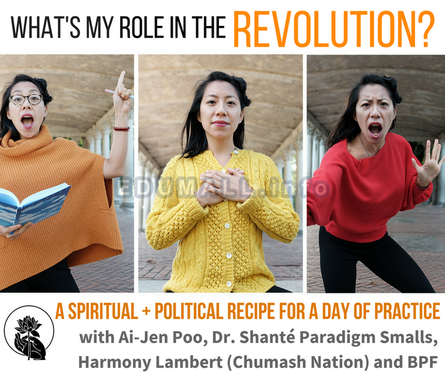 Kate Johnson - Buddhist Peace Fellowship - What’s My Role in the Revolution?
