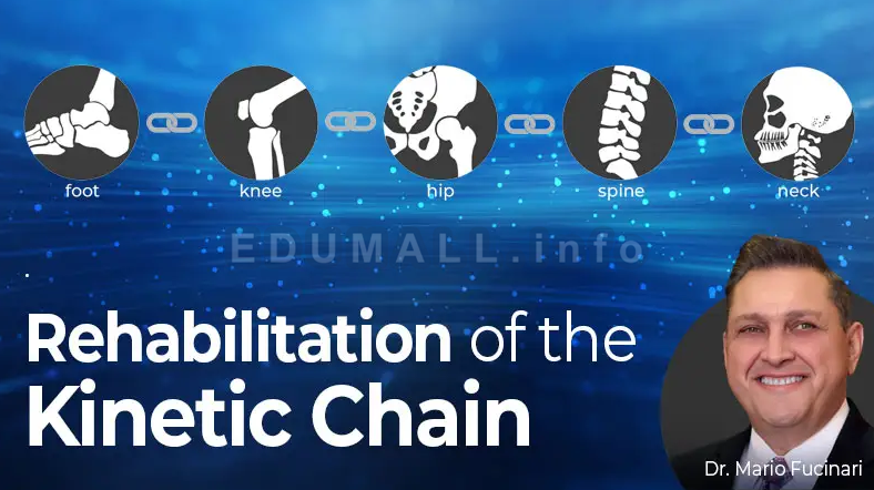 Mario Fucinari - Rehabilitation of the Kinetic Chain