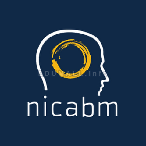 NICABM - How to Help Client* Build Resilience