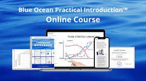 Catherine Vassant, Business Coach - Blue Ocean Practical Introduction Online Course